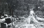 The gravel road to the mineral springs (Die Oog)