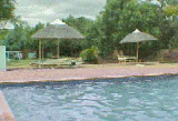 Just One Of Our Stunning Pools